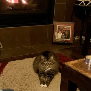 Meet your Posher, Crystal